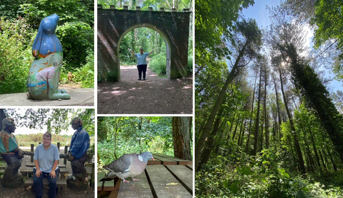 Montage of photos at Holt Country Park