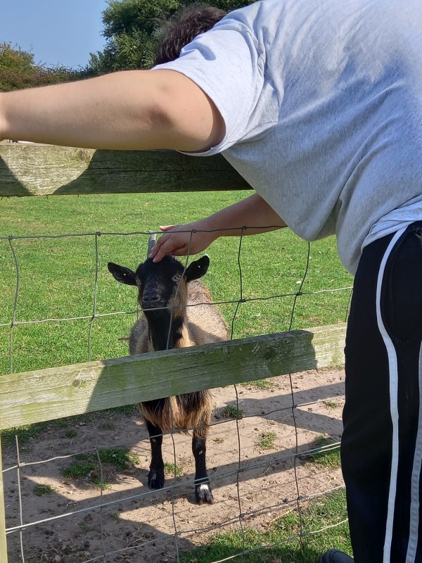 Jason visits Hillside Animal Sanctuary