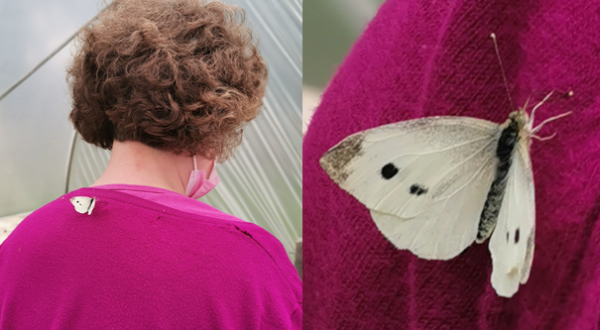 A butterfly making friends with Helen